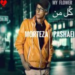 دانلود آهنگ گل من گریه نکن چشماتو گریون نمیخوام از مرتضی پاشایی